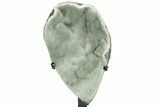 Green Druzy Quartz Geode Section With Metal Stand #233929-2